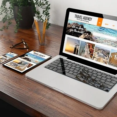 Web Sitesi Tasarımı, Araklı